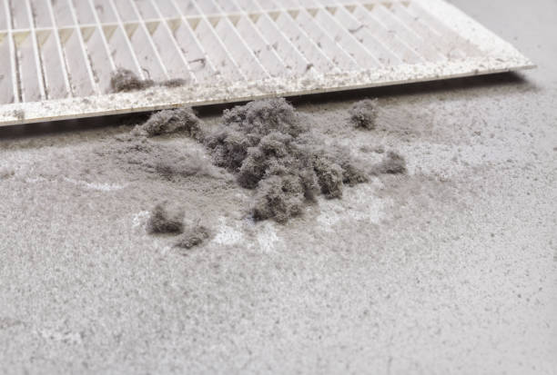 Best Air Vent Cleaning Services  in Parkwood, CA